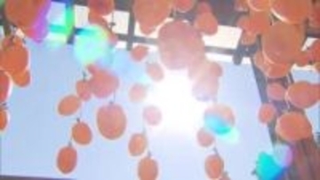 初冬の里山に“橙色のカーテン”　特産「干し柿」づくり最盛期　異常気象による“奇形”続出で廃棄も　島根