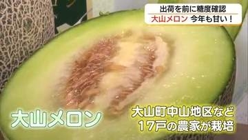 「大山メロン」収穫始まる「目合わせ会」で出荷基準を確認　糖度15度以上甘い仕上りに（鳥取・大山町）