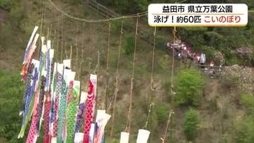 春の大空に悠々と…子供の成長見守ったこいのぼりを再び　園児の声援で元気に（島根・益田市）
