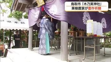 ご神体は「二十世紀梨」の原木「木乃実神社」で果樹農家が豊作を祈願（鳥取市）
