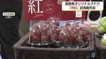 「甘くみずみずしい」まもなく出荷ピーク！島根オリジナルブドウ「神紅」試食販売会