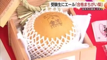 学問の神様のご利益は…受験生にエール「合格まちがい梨」100個限定販売　孫を応援する祖父母の姿も