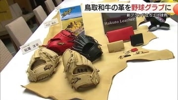 鳥取和牛が球界進出！？グルメと“二刀流”　革を活用し新ブランドのグラブ製造　川口和久さんも太鼓判