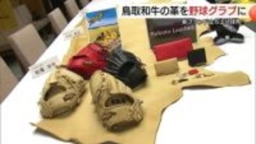鳥取和牛が球界進出！？グルメと“二刀流”　革を活用し新ブランドのグラブ製造　川口和久さんも太鼓判
