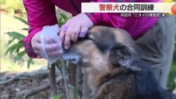 犯罪捜査や人命救助に鋭い“嗅覚”発揮！警察犬と嘱託警察犬の合同訓練　認知症高齢者捜索などに貢献