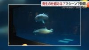 アクアスのシロイルカ「バブルリング」どうやって？学生が開発した装置で発生の仕組み紹介（島根）