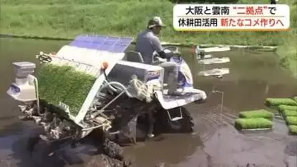 担い手不足解消へ切り札は「二拠点農業」大阪の農業法人が雲南の農家と連携　新しいコメ作りへ