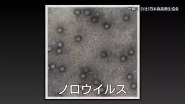 「【続報】米子市の居酒屋で起きた集団食中毒　患者18人に増加　原因は「ノロウイルス」　（鳥取）」の画像