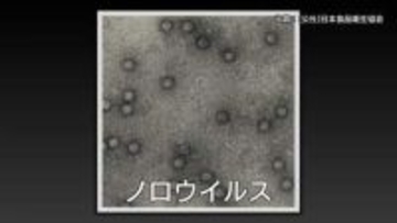 【続報】米子市の居酒屋で起きた集団食中毒　患者18人に増加　原因は「ノロウイルス」　（鳥取）