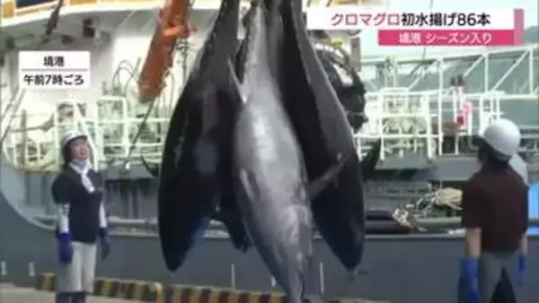日本海の“黒いダイヤ”天然クロマグロ初水揚げ！境港で初競り　漁獲シーズン到来で市場に活気（鳥取）