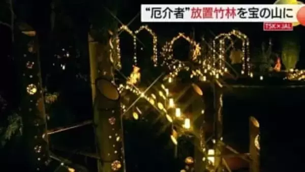 【TSK×JAL】森の“厄介者”の竹を観光資源に…とっとり花回廊「イルミネーション」に新たな輝きの場