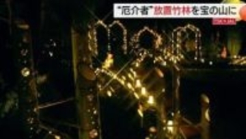 【TSK×JAL】森の“厄介者”の竹を観光資源に…とっとり花回廊「イルミネーション」に新たな輝きの場