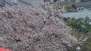 山陰に“春の嵐”　台風並み強風で空の便欠航　JRダイヤに乱れ　低気圧と前線の影響で荒れた天気続く