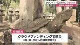 「松江のシンボル・月照寺「大亀像」修復へ「クラファン」8割達成、目標の1300万円へ支援呼びかけ」の画像1