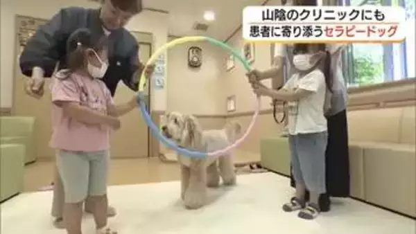 患者に寄り添う「セラピードッグ」米子市のクリニックに　不安取り除き診療サポート（鳥取）