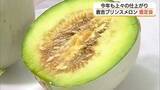 「倉吉特産「プリンスメロン」新規就農者参入で出荷量3倍へ「まろやかな甘み」味わって（鳥取）」の画像1