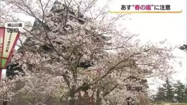 「春の嵐」で“花散らし”に…10日に日本海に発達した低気圧　落雷や竜巻など激しい突風、大雨の恐れ