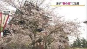 「春の嵐」で“花散らし”に…10日に日本海に発達した低気圧　落雷や竜巻など激しい突風、大雨の恐れ