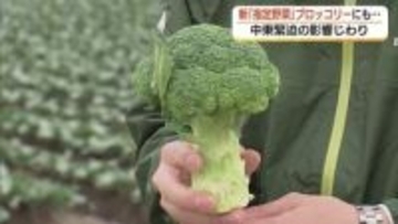 農業にもじわり「中東情勢」の影　新しい「指定野菜」ブロッコリー産地も資材・肥料高騰を懸念（鳥取）