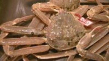 待望のかにシーズン到来！山陰の冬の味覚の代表格“松葉がに”漁解禁　飲食・観光業界も好スタートに期待膨らむ