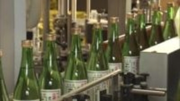 数量限定“立春朝搾り”松江市の老舗酒蔵から出荷「春を感じて」無病息災や商売繁盛願う（島根）