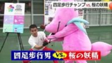 “四足走行男”が“桜の妖精”と異色のバトル！　27年鳥取開催のワールドマスターズゲームズPRに一役