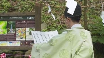 轟音響く絶景再び　台風の豪雨被害乗り越え“日本の滝百選”「雨滝」が3年ぶりに一般開放へ【鳥取発】
