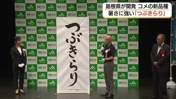 新品種の名称は「つぶきらり」島根県が開発「暑さに強い」コメ「島系84号」暑さに負けず、輝く稲穂に