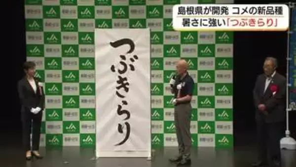 新品種の名称は「つぶきらり」島根県が開発「暑さに強い」コメ「島系84号」暑さに負けず、輝く稲穂に