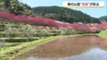 春の山里彩る「花桃」色とりどり2600本が満開！行楽日和から雨へ…そして「春の嵐」に注意