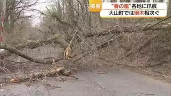 “春の嵐”の爪痕…看板落下の恐れなど建物被害20件　約10カ所の倒木で県道が一時通行止め（鳥取）