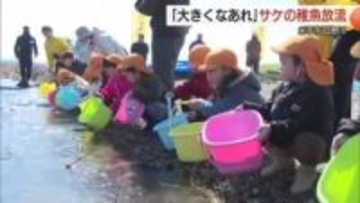 「帰ってくるのは100匹のうち1匹…」厳しい自然乗り越え成長を！日野川で園児がサケの稚魚放流（鳥取）