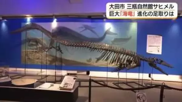 海を支配した“海竜”の進化に迫る企画展　新種「ワカヤマソウリュウ」など約200点展示（島根）