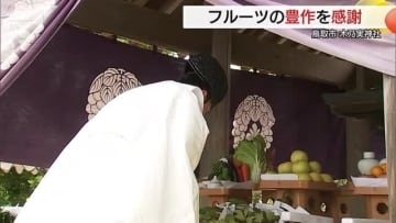 二十世紀梨の原木がご神体「木乃実神社」で収穫感謝の例祭　さらなる豊作願い梨ジュースで乾杯（鳥取市）