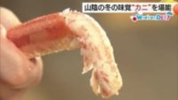 【WeekenDどう？】松葉ガニシーズン到来！豪華海鮮盛りセットなど松江で山陰の味覚を堪能