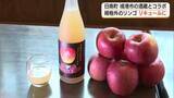 「「廃棄するのはもったいない」日南町特産「阿毘縁高原りんご」規格外品を「リキュール」に（鳥取・境港市）」の画像1