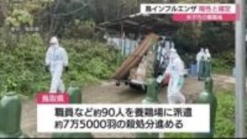 【続報】「Ｈ５亜型」の遺伝子検出　養鶏場で高病原性鳥インフルエンザ感染確定（鳥取・米子市）