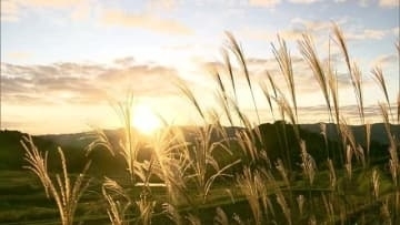 雲海が告げる秋の深まり…放射冷却で強い冷え込み　島根県の山間部で今季初の「冬日」