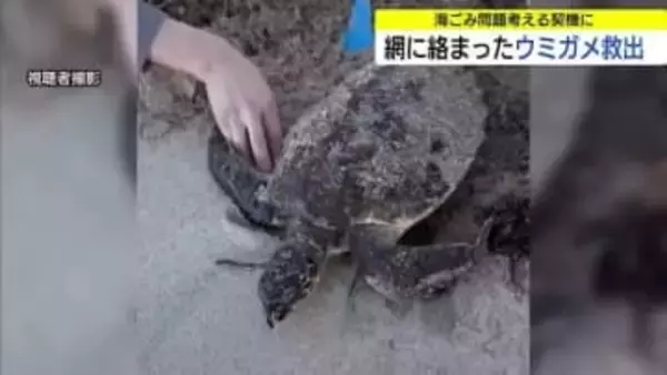 砂浜に大量のごみ…網に絡まったウミガメを発見しボランティアが救出　冬は漂着のピークに（島根）