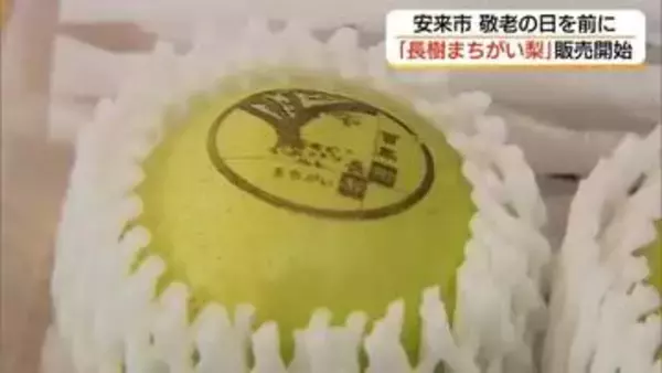 「敬老の日」前に「百年長樹まちがい梨」販売開始　長寿の願い込めた「縁起物」の梨（島根・安来市）