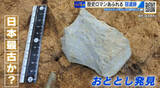 「歴史の教科書が変わる！？　日本最古の石器発見に「仰天！」　発見した専門家が徹底解説　広島・冠遺跡」の画像1