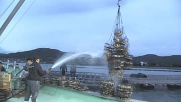 「早急に支援を」相次ぐカキ大量死受け 呉市が独自支援 カキ養殖事業者に現金50万を支給