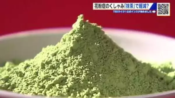 「花粉症のくしゃみ「抹茶」で軽減！？　広島大学がメカニズムを研究　医療費の削減効果に期待」の画像