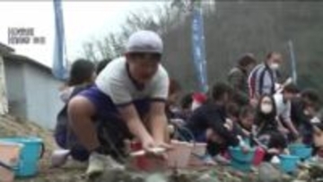 渓流釣りで人気！ 小学生が「アマゴ」の放流を体験 「川を大切にする心を育んでほしい」　広島・福山市