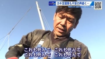 「これも死んで、これも死んで…」政府カキ支援も、不安の声続く「中小零細にとっては非常に厳しい」広島