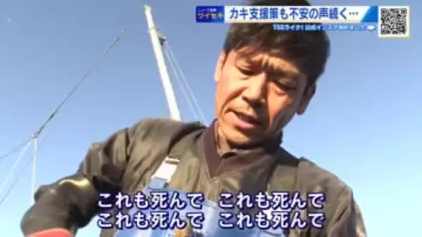 「これも死んで、これも死んで…」政府カキ支援も、不安の声続く「中小零細にとっては非常に厳しい」広島