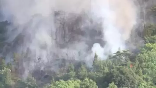 福山で山火事　延焼続く【17日午後7時現在】