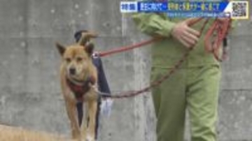 受刑者が保護犬と過ごし自らの罪に向き合う　更生に向けた新たな取り組み　広島・尾道刑務支所