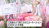 「カーネーションのプレゼント「母の日献血」」の画像1