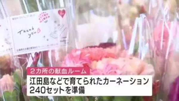 カーネーションのプレゼント「母の日献血」